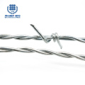 Galvanized Brab Wire Fence